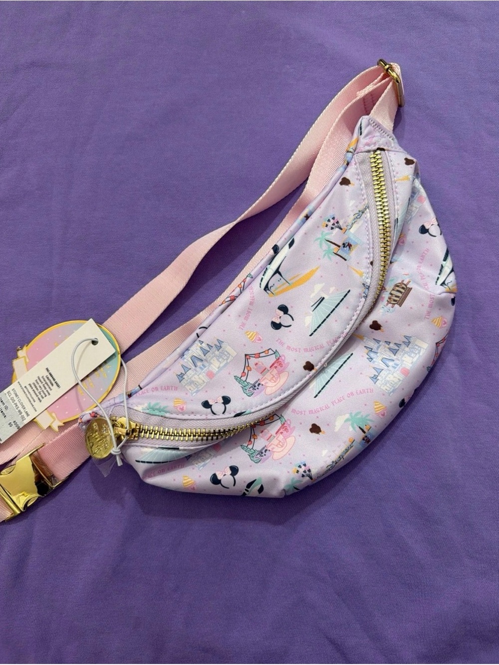 SCL x Disney Parks Walt Disney World Classic Fanny Pack